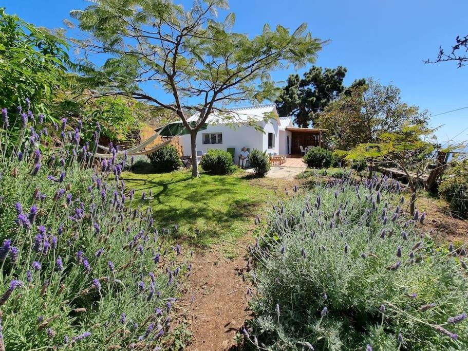 Casa Aram Lapalmahouse Villa Tijarafe Dış mekan fotoğraf